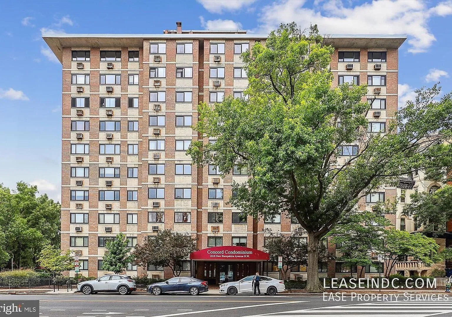 Studio, 370 sqft, $1,625 — Photo 1