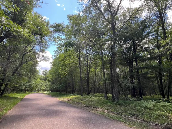 LOT 14 Loon Lake Rd, Danbury, WI 54830