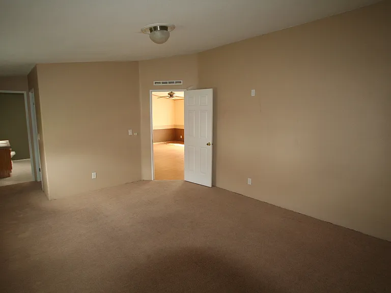 229 Silver Maple Dr — Photo 18