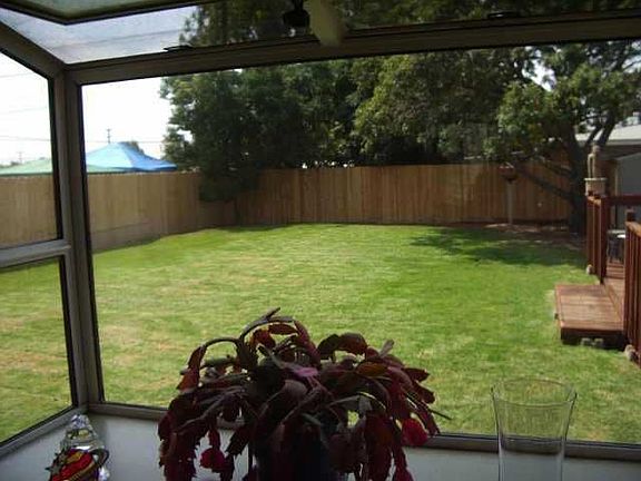 back-yard