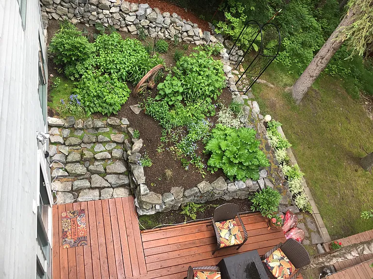 Garden view