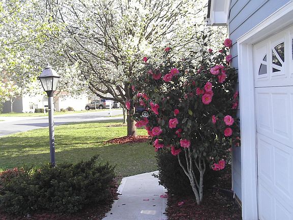 Front of house #3