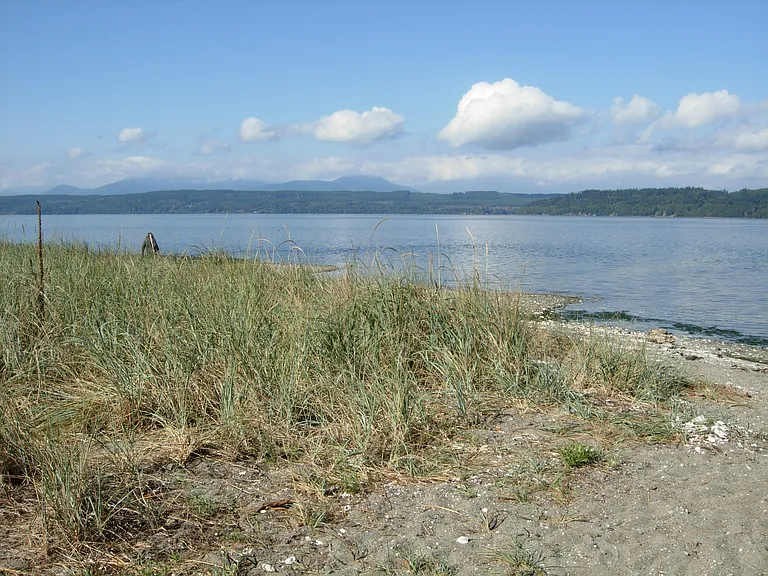 Community beach on Hood Canal