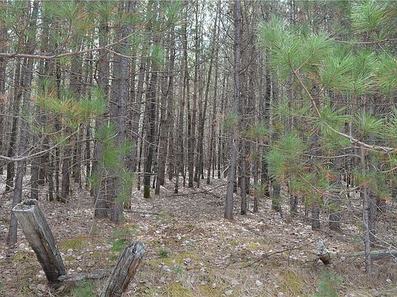5th image of 0 Frog Creek Road