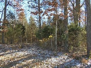 2nd image of 4935 N Pinson Rd