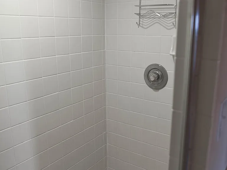 Master Shower