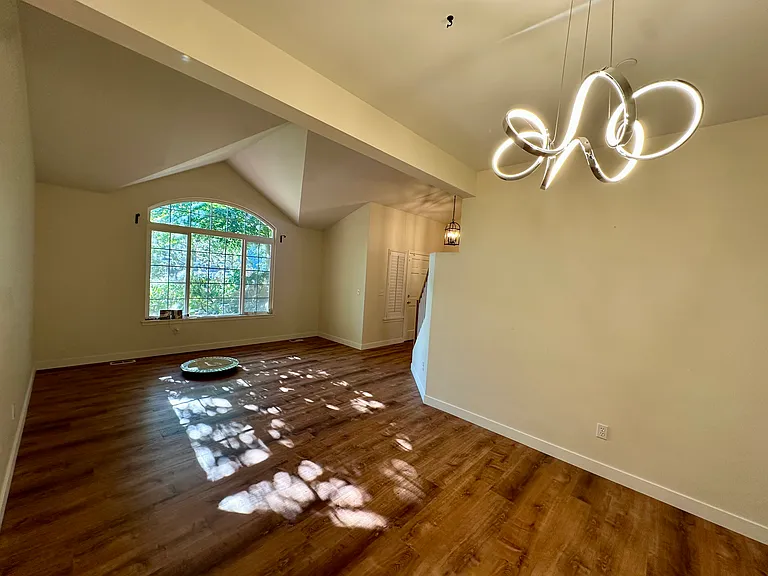Formal room - new light fixture