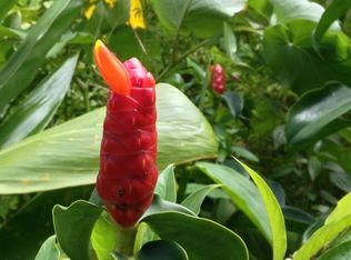 15-175 Puni Lapa Loop N, Pahoa, HI 96778