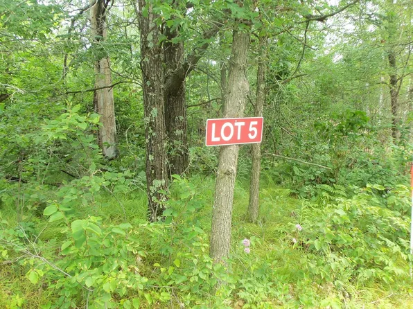 LOT 5 Deerfield Rd, Trego, WI 54888