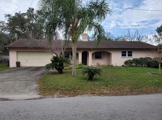 10405 N Hartts Dr, Tampa, FL 33617