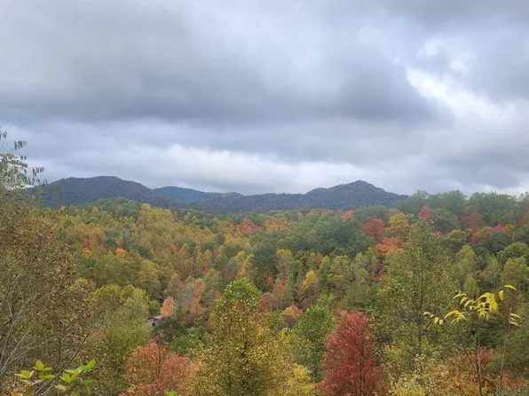 115 Stewart Rd, Keokee, VA 24265