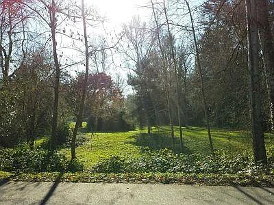 corner of park and creek