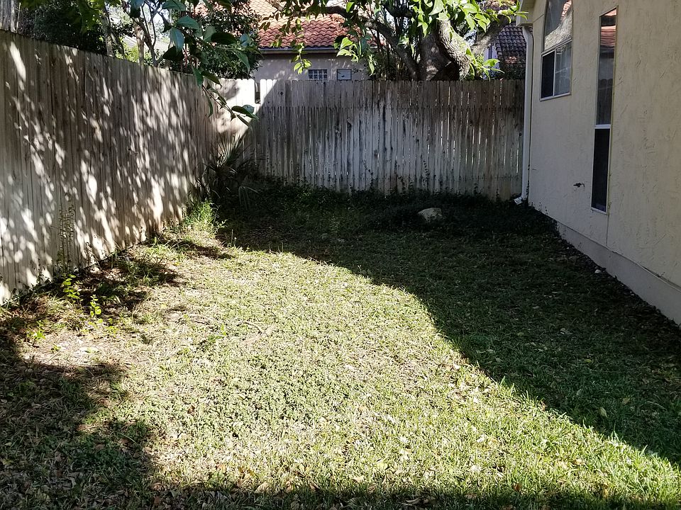 back yard
