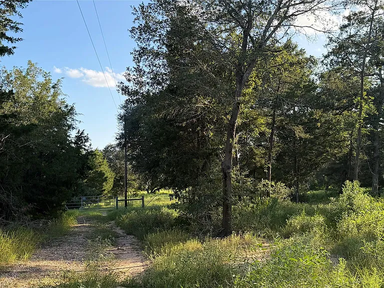 26011 Bernard Rd — Photo 27