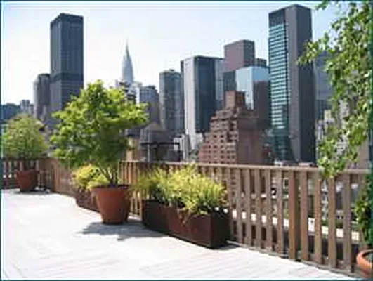 Sold by Corcoran | media 15