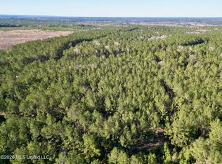 Gobbler Head Rd, Poplarville, MS 39470