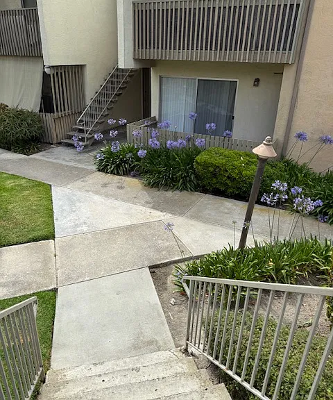 Green landscaped outside area
