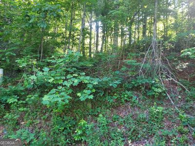 0 Driver Ln, Dillard, GA, 30537