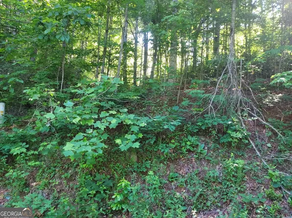 0 Driver Ln, Dillard, GA 30537