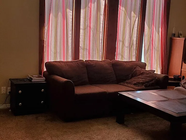living room windows