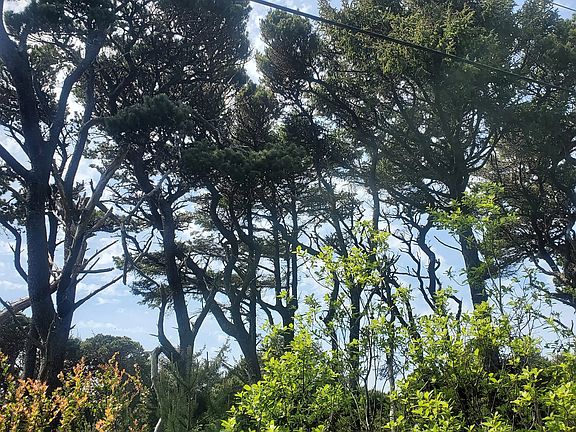 5th image of SW Sea Way Loop