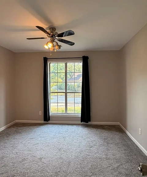 12 Shuler Cir — Photo 20
