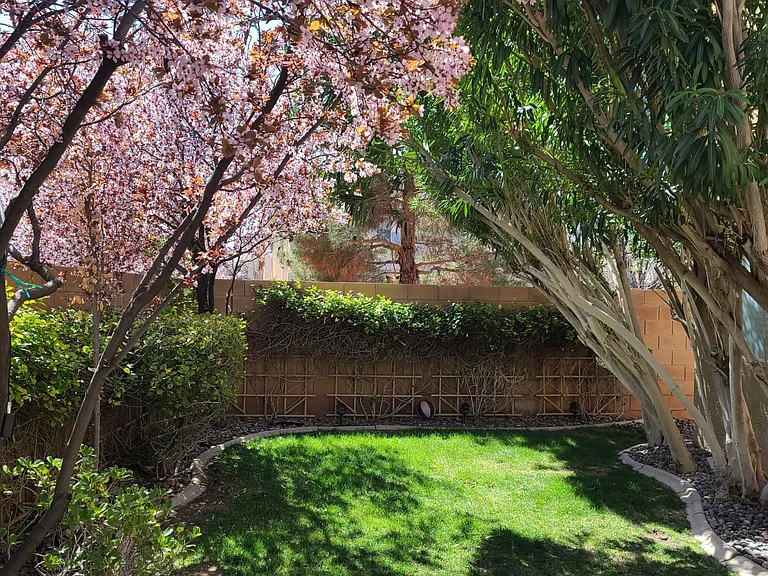 550 Artola St — Photo 1