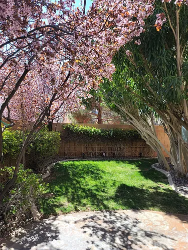 550 Artola St Photo 1