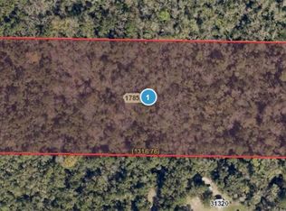 Nocatee Trl, Sorrento, FL 32776