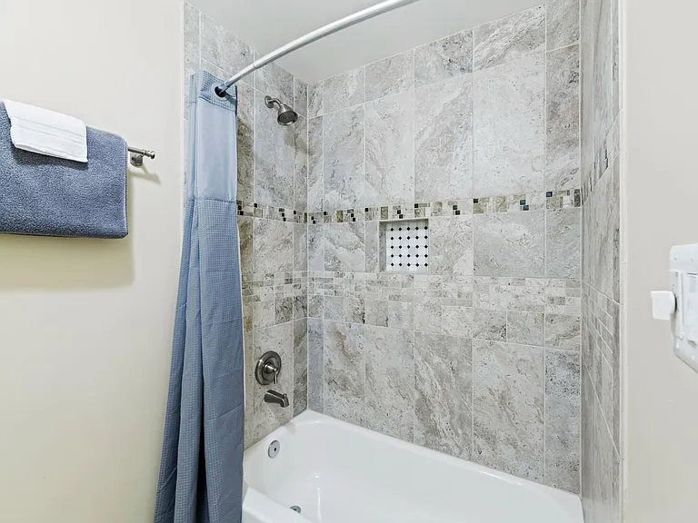 Master Shower and Bath