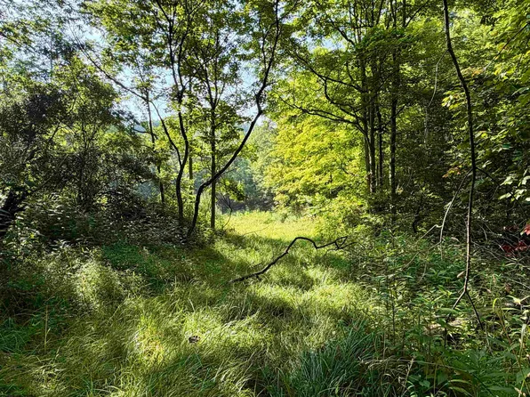 0 Parkersburg Rd, Ripley, WV 25271