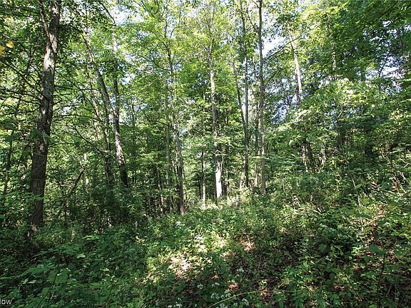5th image of 19522 Township Road 411
