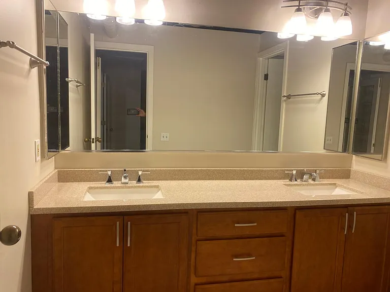 Dual sink and vanity