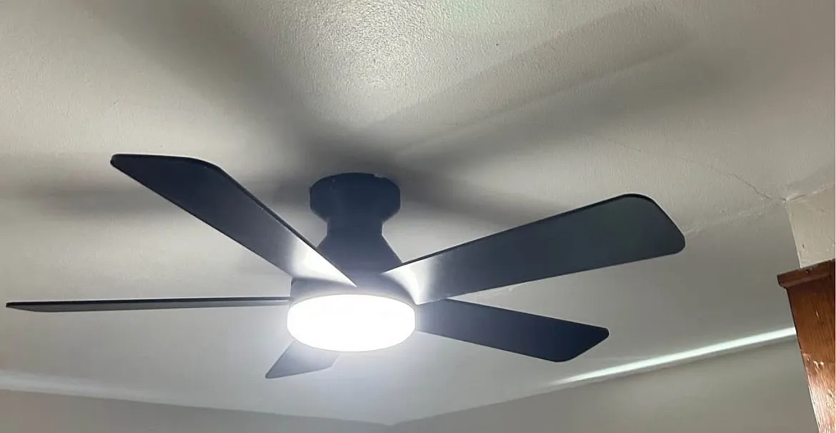 4 bed, 1450 sqft, $650 — Photo 4