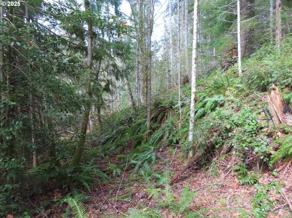 N Lake Cushman Rd, Hoodsport, WA 98548