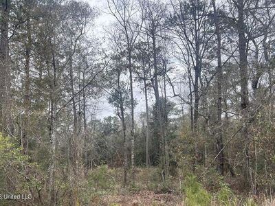 Hampton Rd, Picayune, MS, 39466