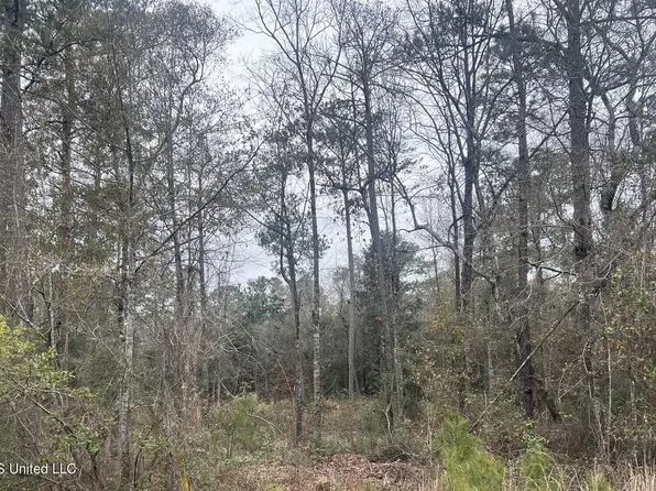 Hampton Rd, Picayune, MS 39466
