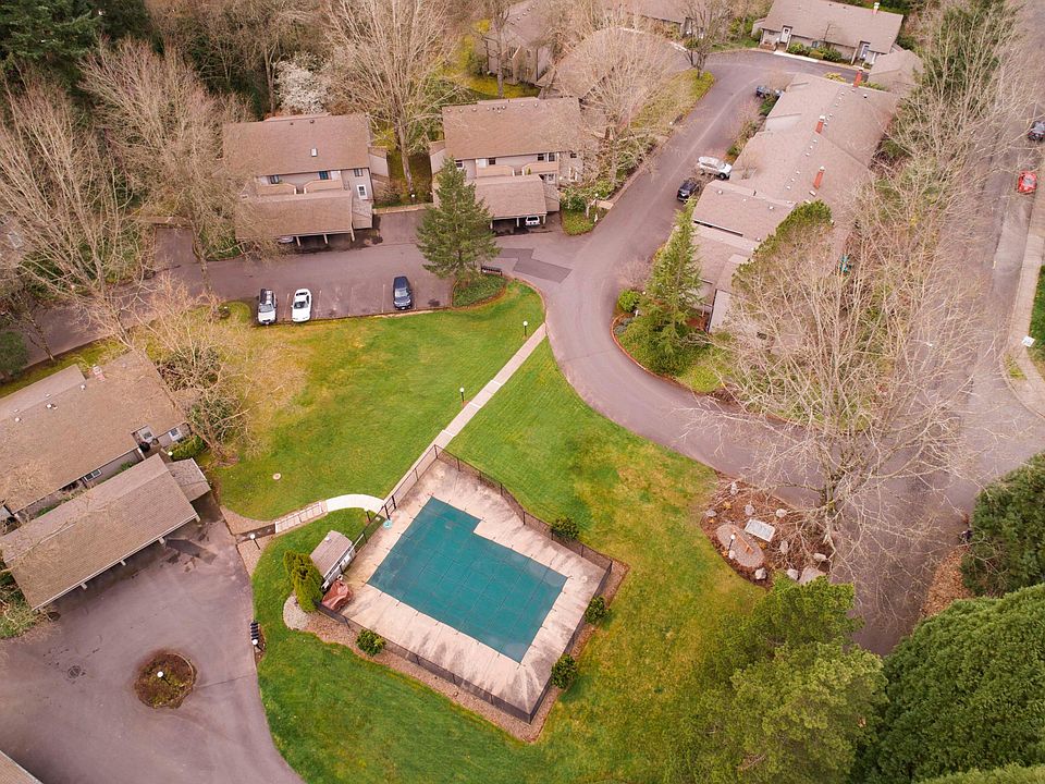 Eagle Eye View
