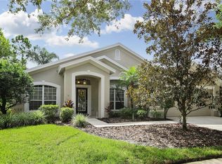 10207 Thicket Point Way, Tampa, FL 33647