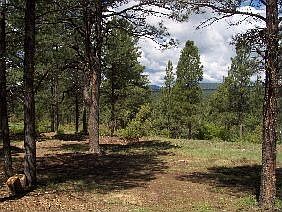 view off back deck