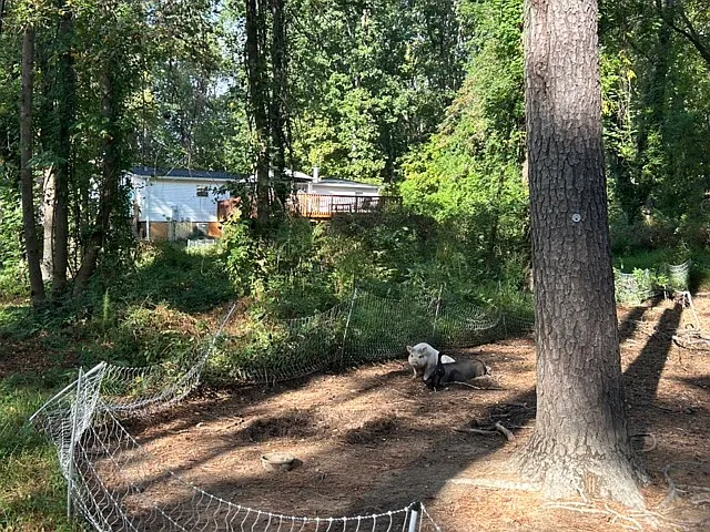 277 Taylor Rd — Photo 53