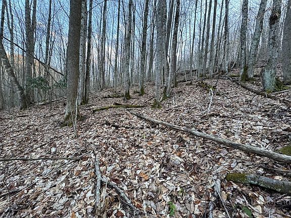 3rd image of Lot 3 Buckeye Ridge Road