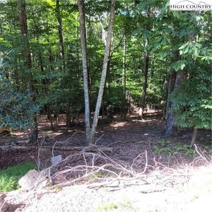 201 Jackpine Road, Banner Elk, NC, 28604