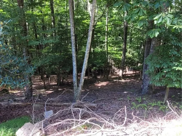 201 Jackpine Road, Beech Mountain, NC 28604