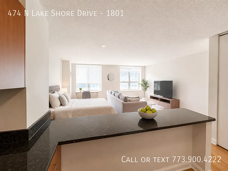 474 N Lake Shore Dr #1801 — Photo 5