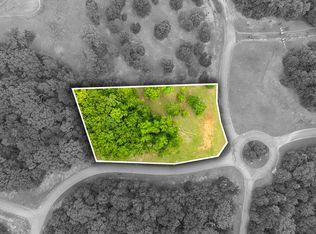 415 Rivermyst Dr, Spring City, TN 37381