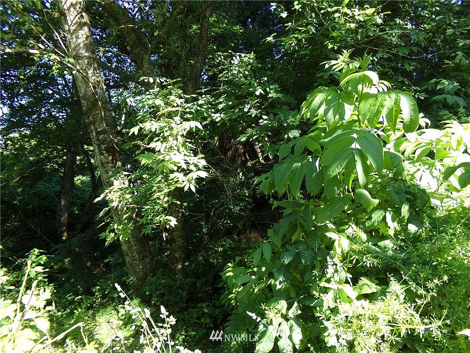 2nd image of 0 Hwy 101