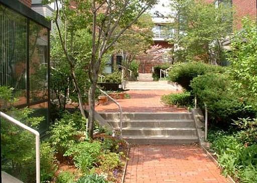 1st image of 36 Shipway Pl