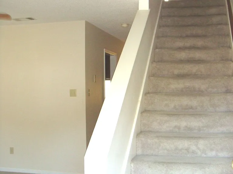 1803 Plum St — Photo 4