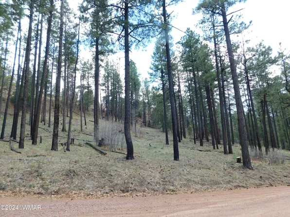 LOT 24 N2276, Nutrioso, AZ 85932